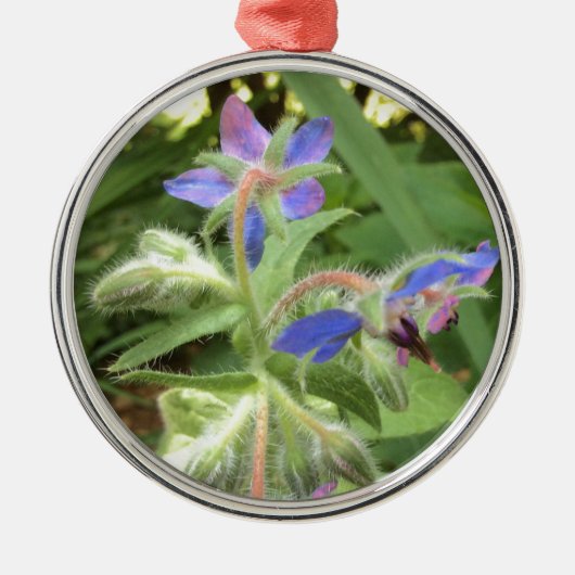 BORAGE Blue Pink Green — Metalen Ornament (Voorkant)