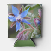 Borage Star-ventilator Blikjeskoeler (Voorkant)