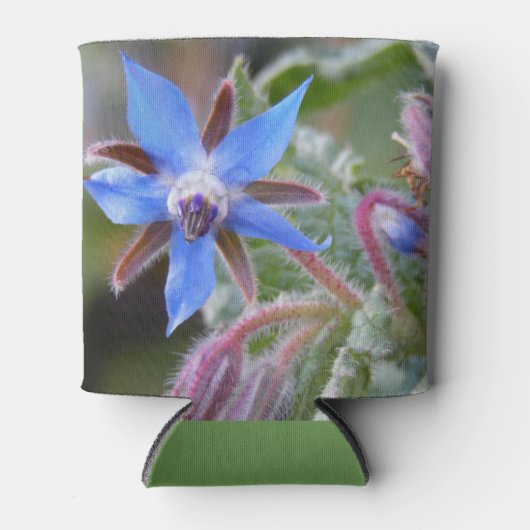 Borage Star-ventilator Blikjeskoeler (Voorkant)
