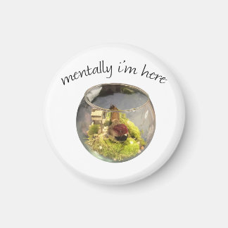 borb planetarium magneet