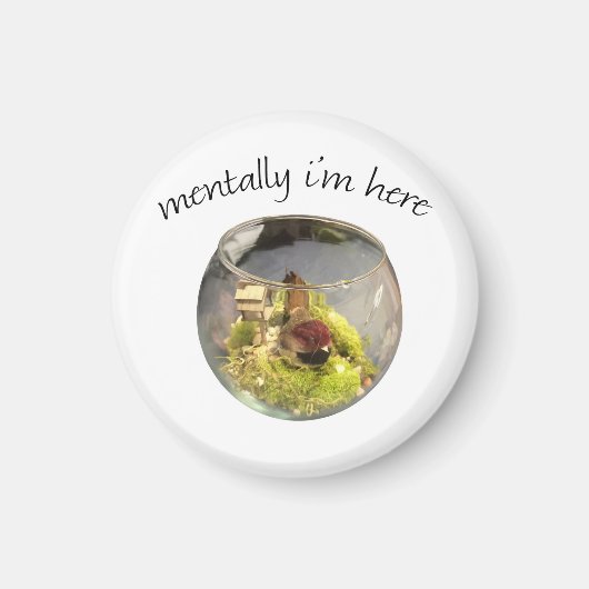 borb planetarium magneet (Voorkant)