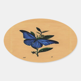 Borboleta Azul Ovale Sticker