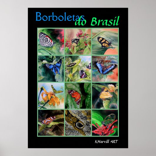 Borboletas do Brasil Poster (Voorkant)