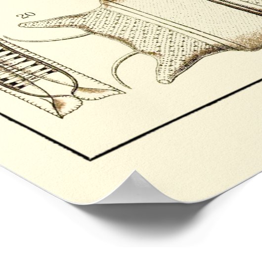 Bord 04 Diatomea Poster (Hoek)