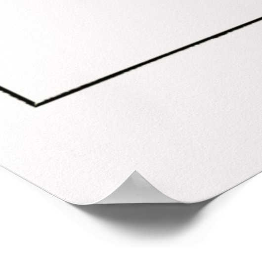 Bord 08 Discomedusae Poster (Hoek)