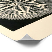 Bord 09 Hexacoralla Poster (Hoek)