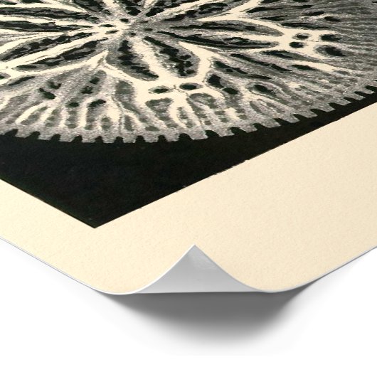 Bord 09 Hexacoralla Poster (Hoek)