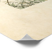 Bord 109 | Savannah Finch | Vogels van Amerika Poster (Hoek)