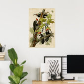 Bord 111 | Pileed Woodpecker | Vogels van Amerika Poster (Thuiskantoor)