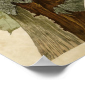 Bord 111 | Pileed Woodpecker | Vogels van Amerika Poster (Hoek)