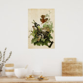 Bord 116 | Gruitbruin | Vogels van Amerika Poster (Keuken)