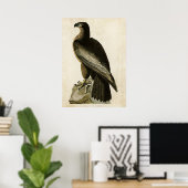 Bord 11 | Vogel van Washington | Vogels van Amerik Poster (Thuiskantoor)