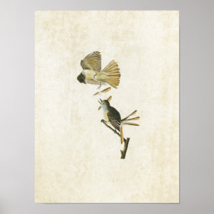 Bord 129   Grote brochure Poster
