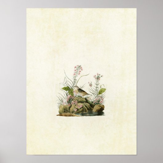 Bord 130 | Geel-Winged Sparrow Poster (Voorkant)