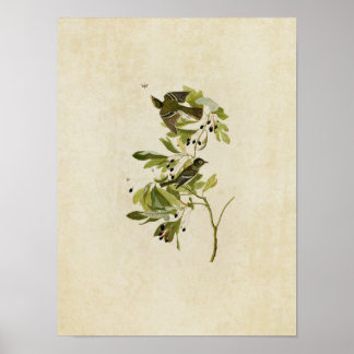 Bord 144 | Kleine groene brochure Poster