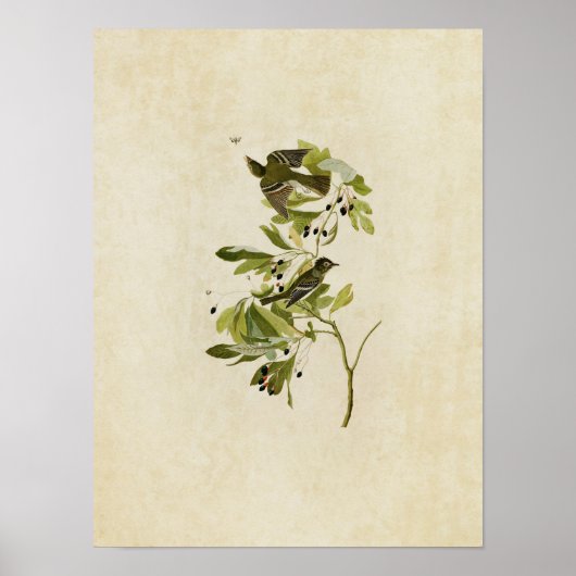Bord 144 | Kleine groene brochure Poster (Voorkant)
