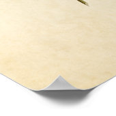 Bord 155 | Zwart-Throated Blue Warbler Poster (Hoek)