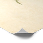 Bord 180 | Pijnvink | Vogels van Amerika Poster (Hoek)