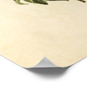 Bord 185 | Bachmans Warbler | Vogels van Amerika Poster (Hoek)