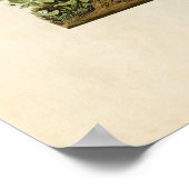 Bord 193 | Lincoln Finch | Vogels van Amerika Poster (Hoek)