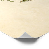 Bord 195 | Ruby-Crowned Wren | Vogels van Amerika Poster (Hoek)