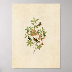 Bord 198   Bruin-verwarmde Warmband voor het bewer Poster