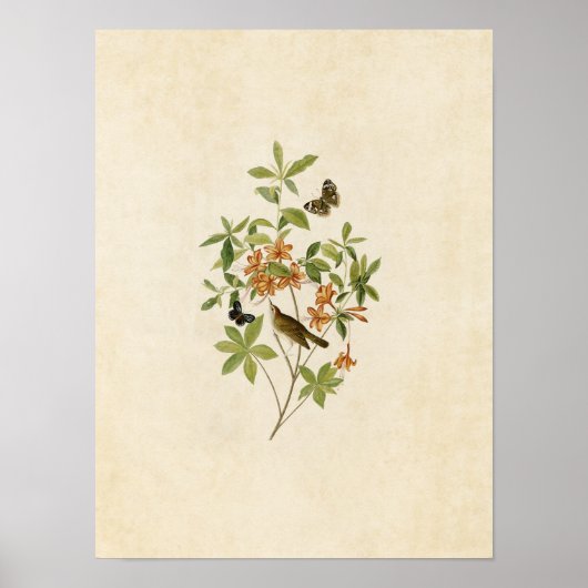 Bord 198 | Bruin-verwarmde Warmband voor het bewer Poster (Voorkant)