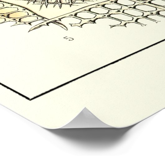 Bord 21 poster (Hoek)