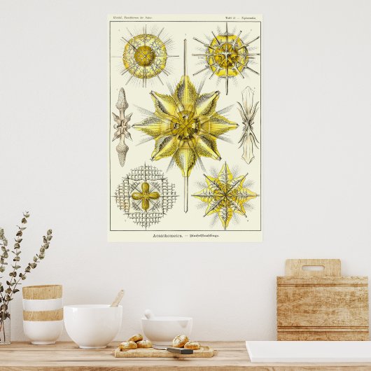 Bord 21 poster (Keuken)