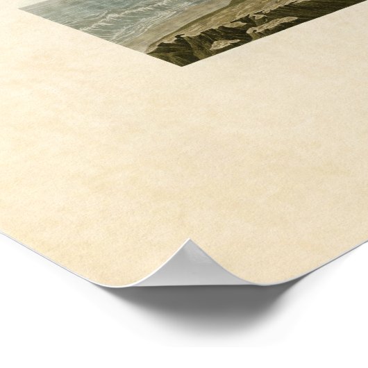 Bord 220 | Pijpklaver | Vogels van Amerika Poster (Hoek)