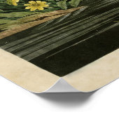 Bord 221 | Mallard Duck | Vogels van Amerika Poster (Hoek)