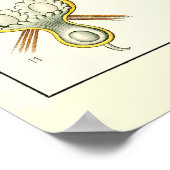 Bord 23 Bryozoa Poster (Hoek)