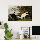Bord 246 | Edier Duck | Vogels van Amerika Poster (Thuiskantoor)