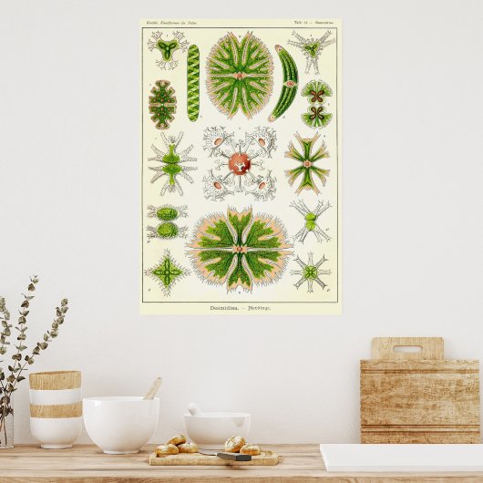 Bord 24 Desmdiea Poster (Keuken)