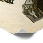 Bord 251 | Bruin Pelican | Vogels van Amerika Poster (Hoek)