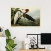 Bord 256 | Paarse Heron | Vogels van Amerika Poster (Thuiskantoor)