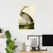 Bord 261 | Hele kraan | Vogels van Amerika Poster (Thuiskantoor)
