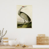 Bord 261 | Hele kraan | Vogels van Amerika Poster (Keuken)