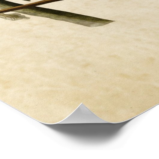 Bord 26 | Carolina Parrot | Vogels van Amerika Poster (Hoek)