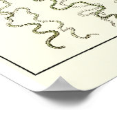 Bord 26 Trachomedus Poster (Hoek)