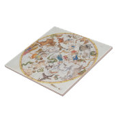 Bord 26 van "Atlas Coelestis", ingediend door John Tegeltje (Zijkant)