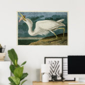Bord 281 | Grote witte haron | Vogels van Amerika Poster (Thuiskantoor)