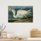 Bord 281 | Grote witte haron | Vogels van Amerika Poster (Keuken)