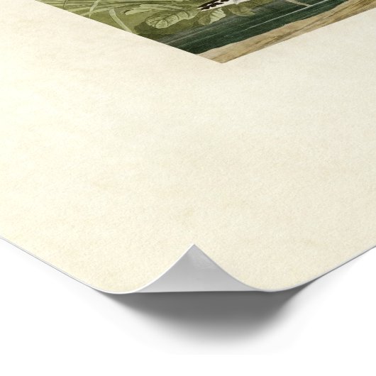 Bord 289 | Eenzame Sandpiper | Vogels van Amerika Poster (Hoek)