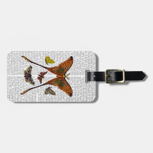 BORD 2 BAGAGELABEL (Voorkant horizontaal)