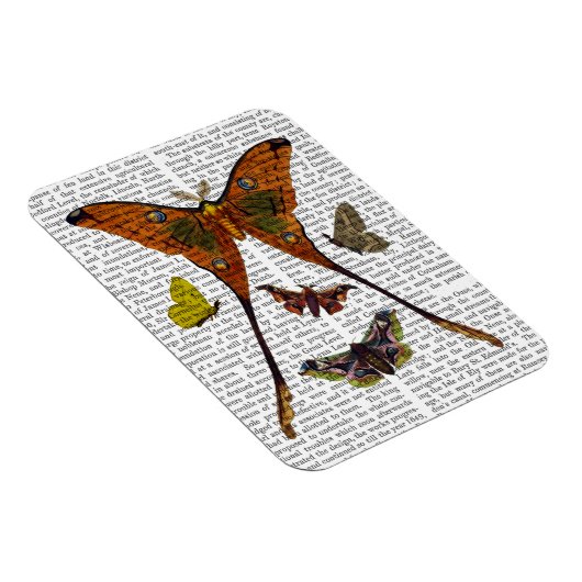 BORD 2 MAGNEET (Rechterzijde)