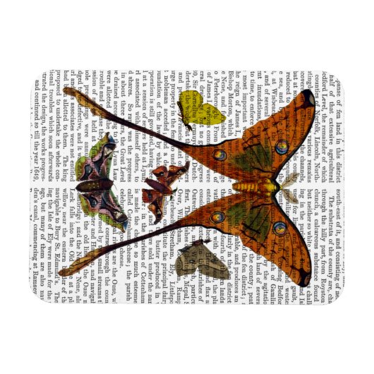 BORD 2 MAGNEET (Horizontaal)