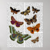 BORD 2 POSTER (Voorkant)