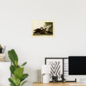 Bord 302 | Dusky Duck | Vogels van Amerika Poster (Thuiskantoor)