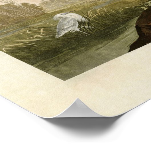 Bord 307 | Blue Crane of Heron | Vogels van Amerik Poster (Hoek)